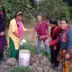 Pic of Plantation Activities